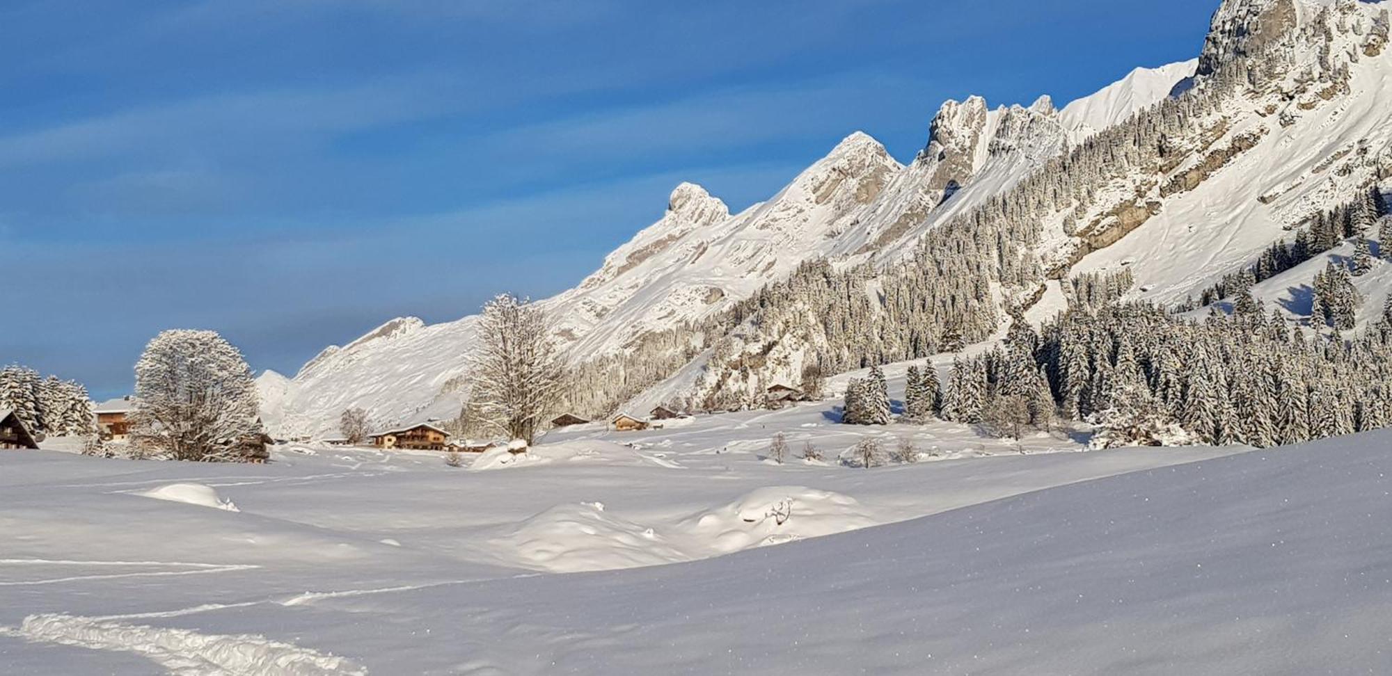 Appartement Cosy Face Aux Aravis Le Grand-Bornand Extérieur photo