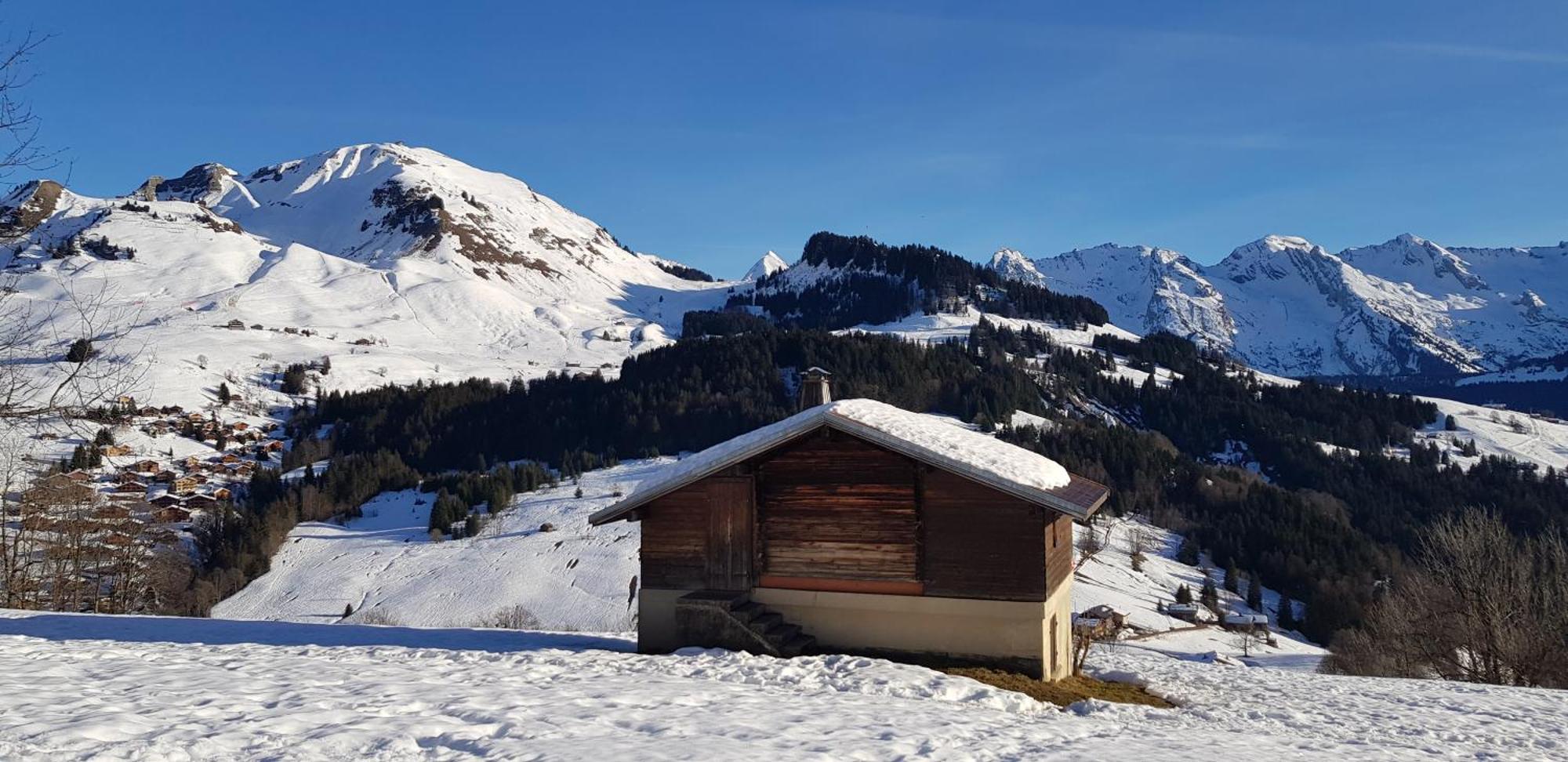 Appartement Cosy Face Aux Aravis Le Grand-Bornand Extérieur photo